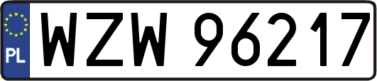 WZW96217
