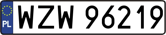 WZW96219