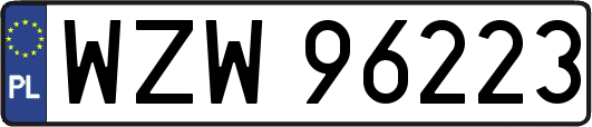 WZW96223