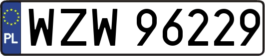 WZW96229