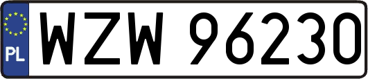 WZW96230