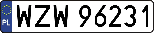 WZW96231