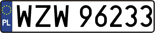 WZW96233