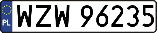 WZW96235