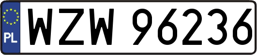 WZW96236