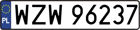 WZW96237