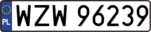 WZW96239