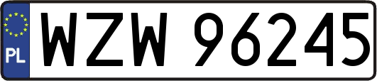 WZW96245