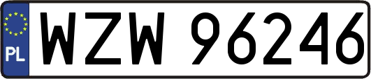 WZW96246