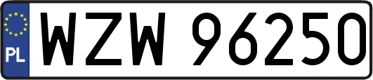 WZW96250