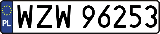 WZW96253