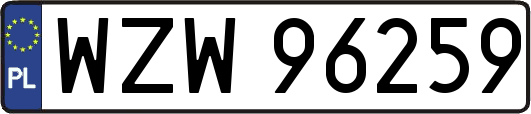WZW96259
