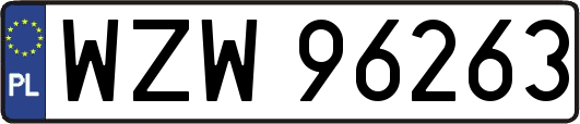 WZW96263