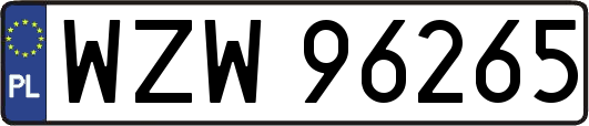WZW96265