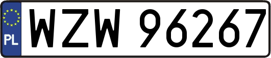 WZW96267