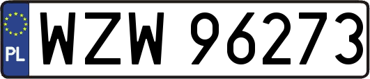 WZW96273