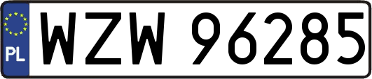WZW96285
