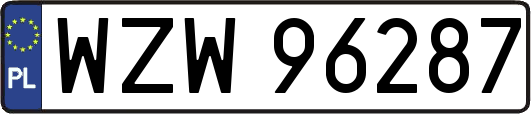WZW96287