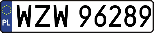 WZW96289