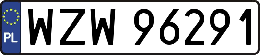 WZW96291