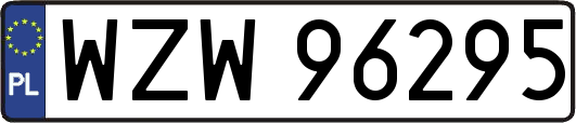 WZW96295