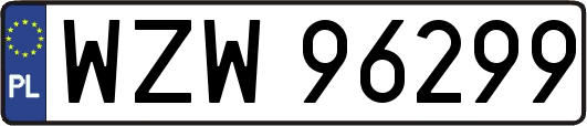 WZW96299
