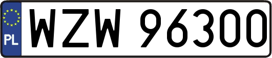WZW96300