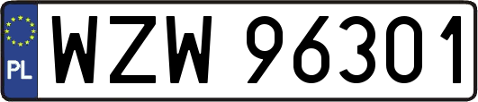 WZW96301