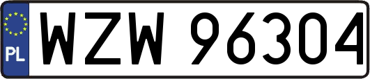 WZW96304