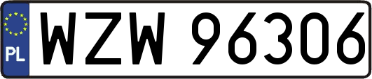 WZW96306