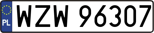 WZW96307