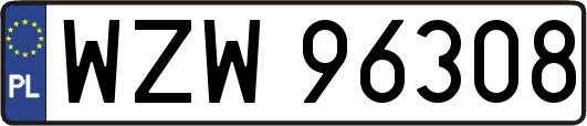WZW96308