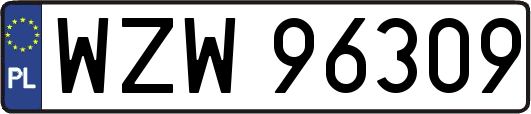 WZW96309