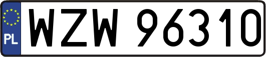 WZW96310