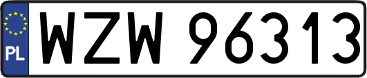 WZW96313