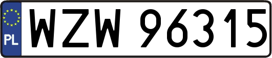 WZW96315