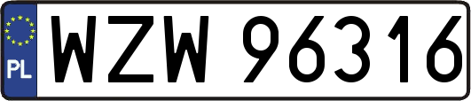 WZW96316
