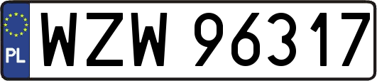 WZW96317
