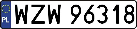 WZW96318