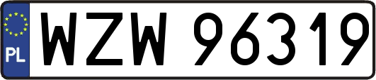 WZW96319