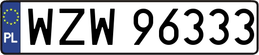 WZW96333