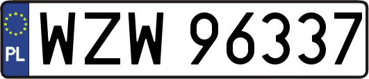 WZW96337