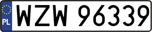 WZW96339