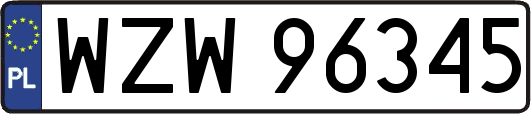 WZW96345