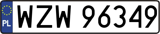 WZW96349