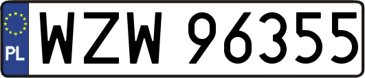 WZW96355