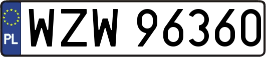 WZW96360