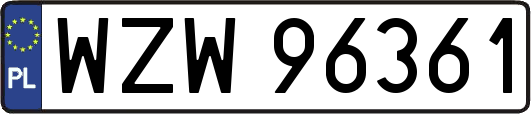 WZW96361