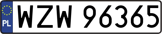 WZW96365