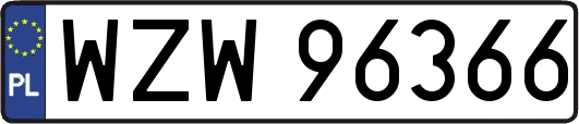 WZW96366